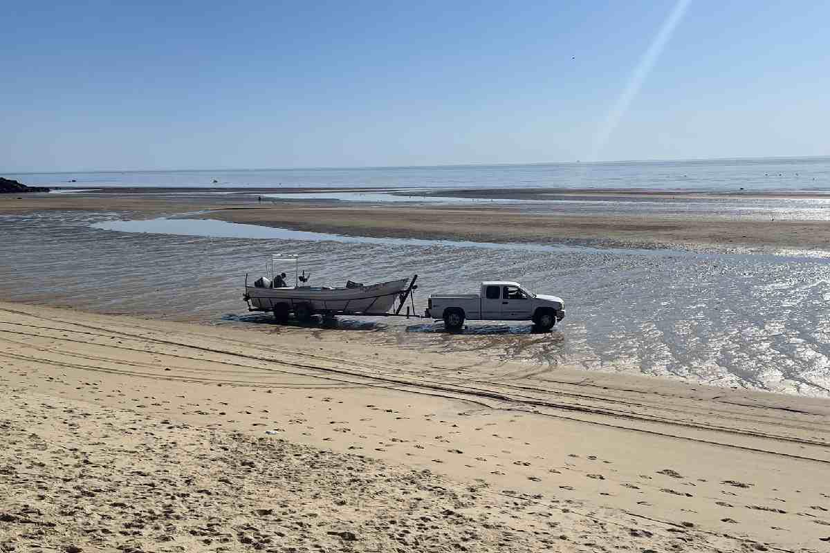 $!Gobierno de AMLO abandonó desde 2021 proyecto esencial para conservación de la vaquita marina