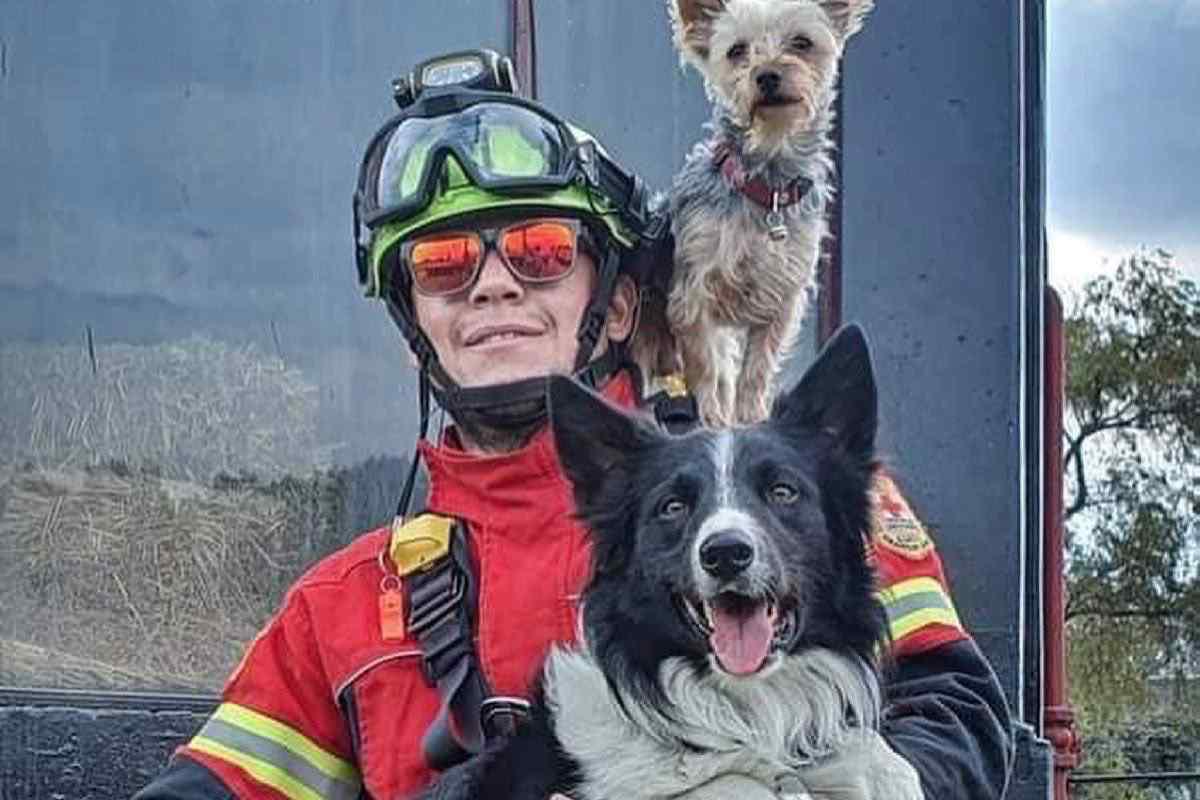 $!Suprema Corte revoca amparo que redujo sentencia del hombre que mató a perros rescatistas