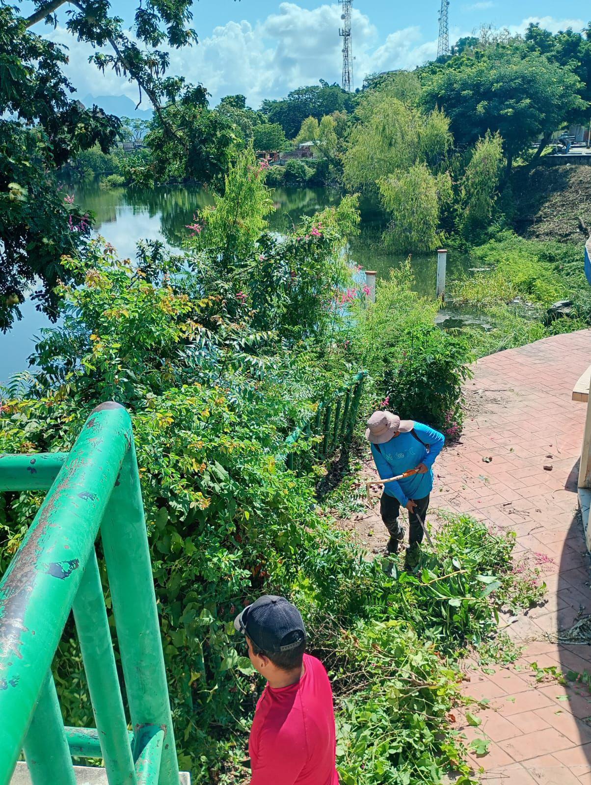 $!Limpian Laguna del Iguanero para evitar criaderos de mosco del dengue, en Rosario