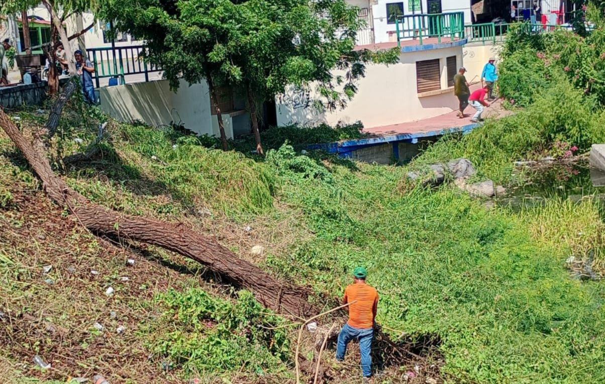 $!Limpian Laguna del Iguanero para evitar criaderos de mosco del dengue, en Rosario