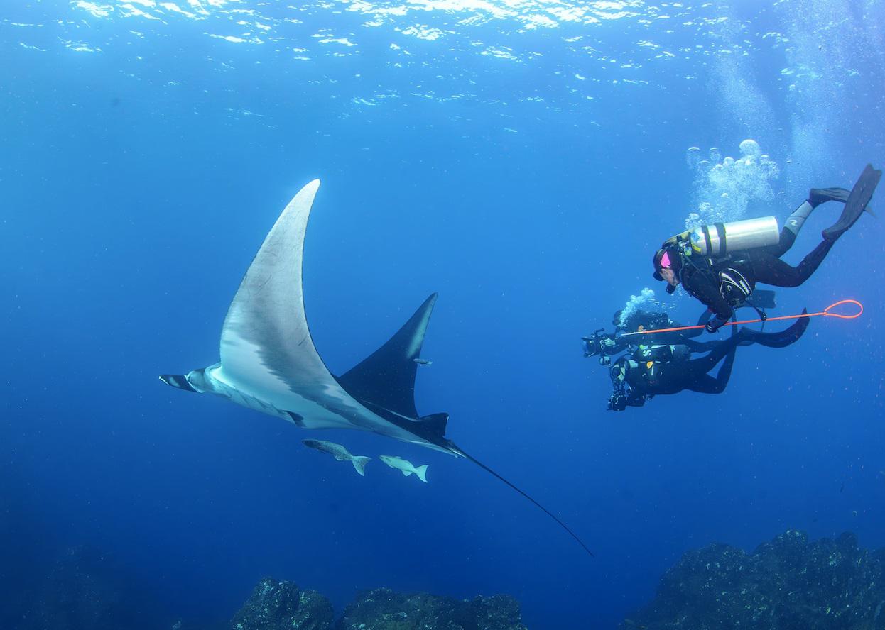 $!La doctora Madalena Pereira Cabral buceando con la doctora Andrea Marshall después de etiquetar una manta gigante en el Parque Nacional Revillagigedo.