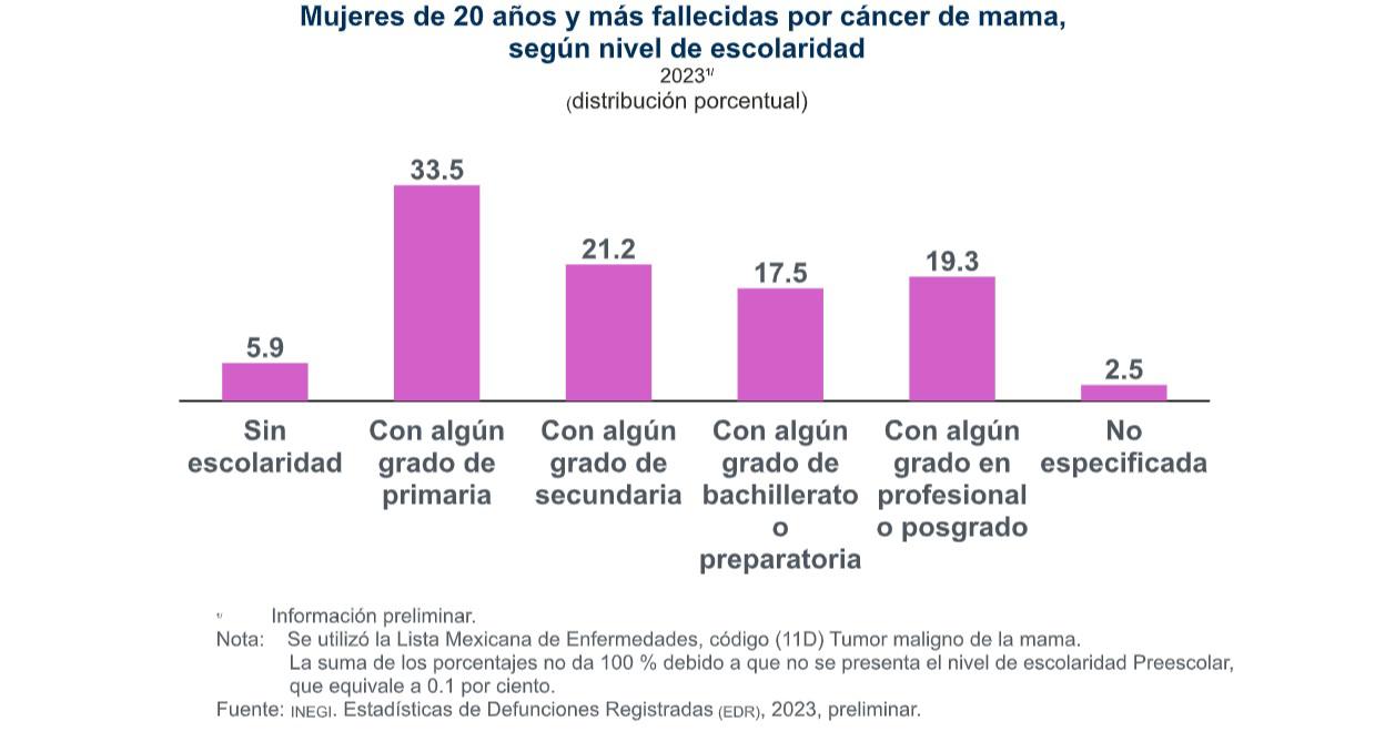 $!En 2023 hubo 8 mil 034 muertes por cáncer de mama en población de 20 años y más: Inegi