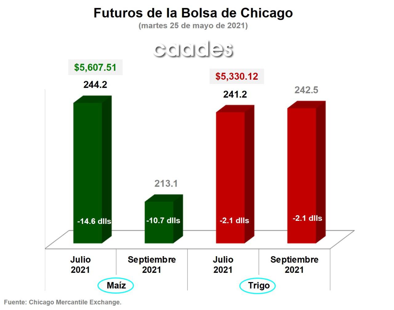 Avance de siembra en EU desploma el precio del maíz