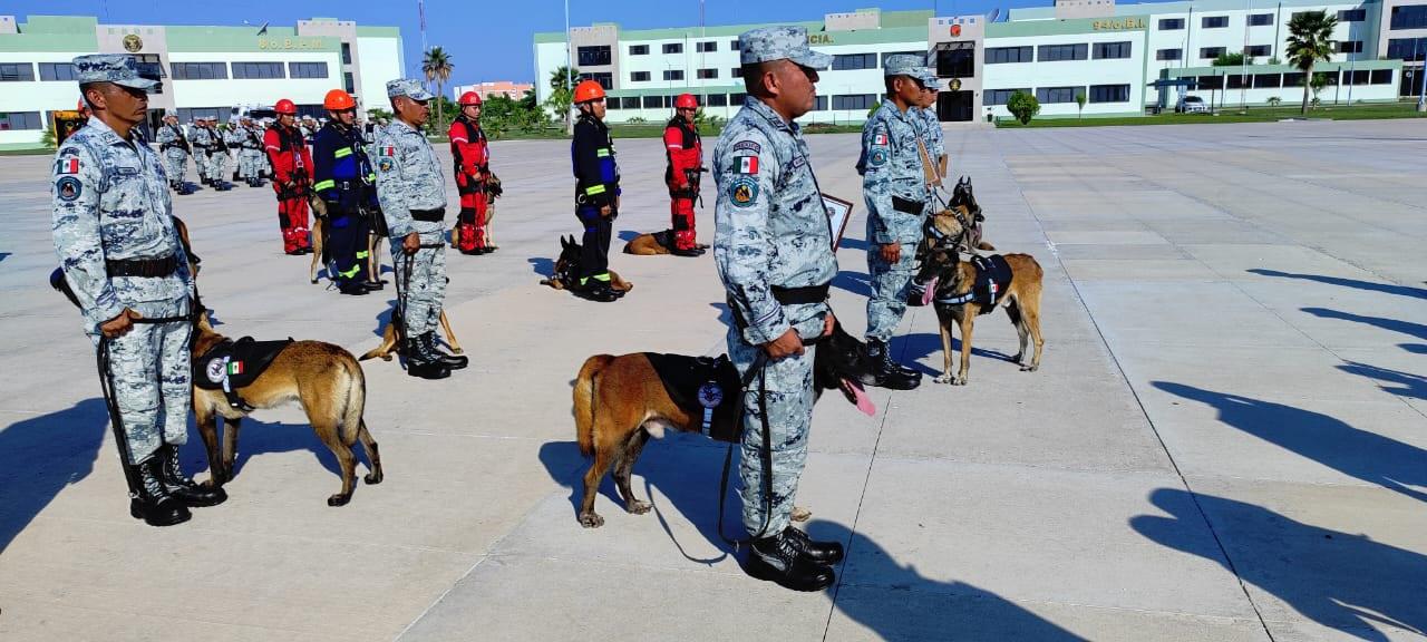 $!Reconocen a elementos de la unidad canina de la Guardia Nacional en su día