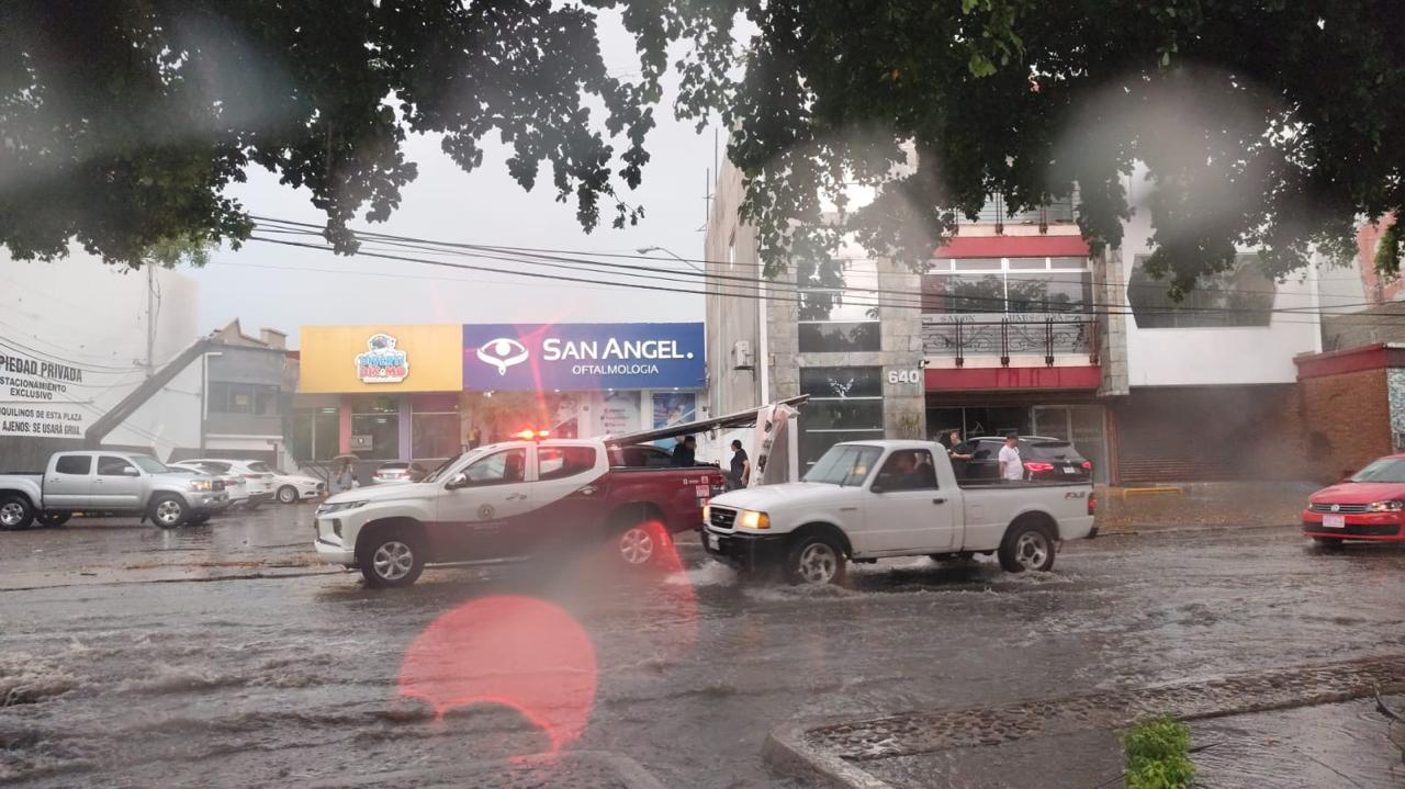 $!Deja tormenta vespertina árboles, espectaculares y postes caídos en Culiacán