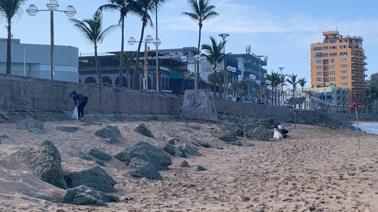 $!MazConCiencia realiza limpieza en el malecón y playas de Olas Altas en Mazatlán