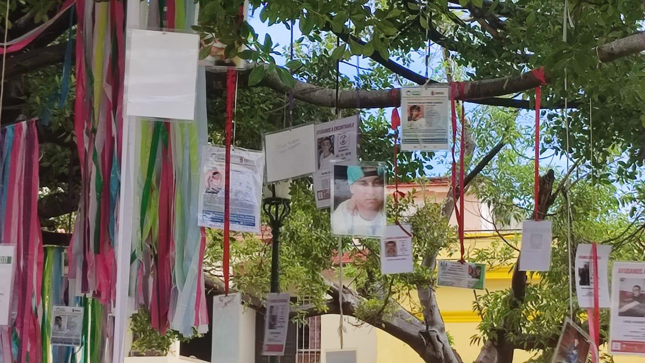 $!Rastreadoras mazatlecas conmemoran a sus desaparecidos en el ‘Árbol de la Vida’