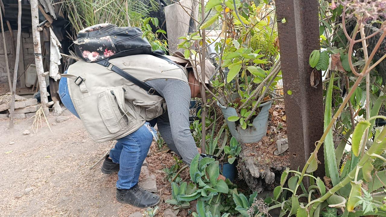 $!Jocelyn trabaja en la lucha diaria contra el dengue