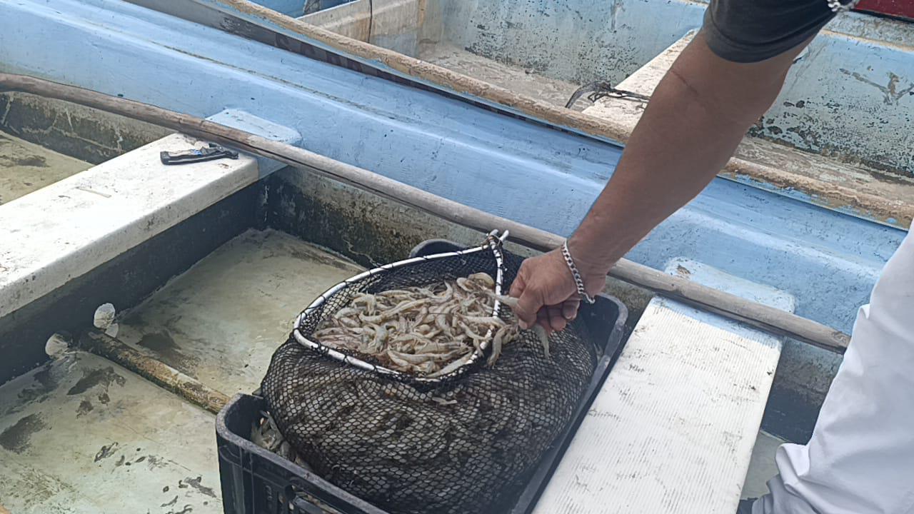 $!Sitios pesqueros de Escuinapa permanecen desiertos en primer día de capturas