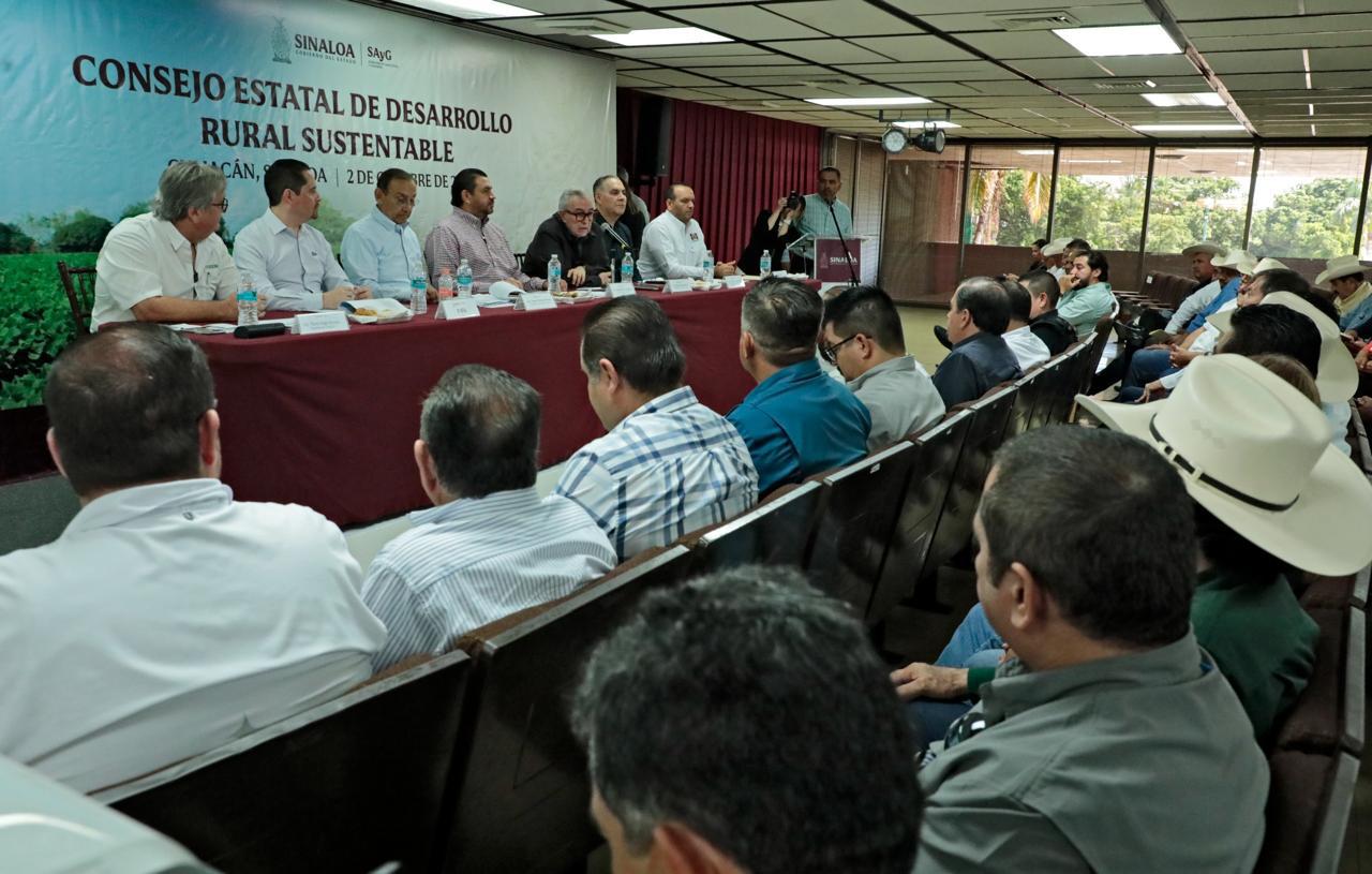 $!Definen plan tentativo de siembras para el ciclo otoño-invierno en Sinaloa