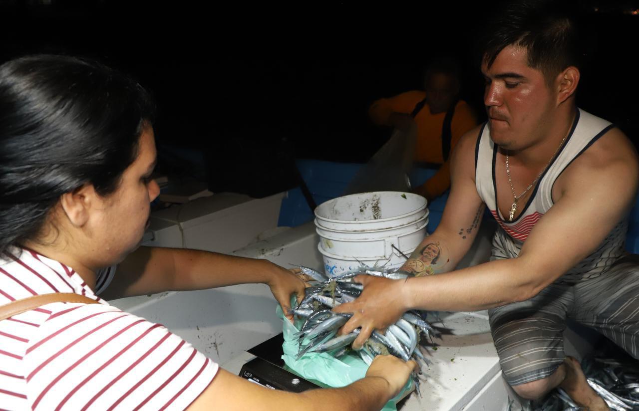 $!Arranca temporada de ‘pajaritos’ en Playa Norte en Mazatlán