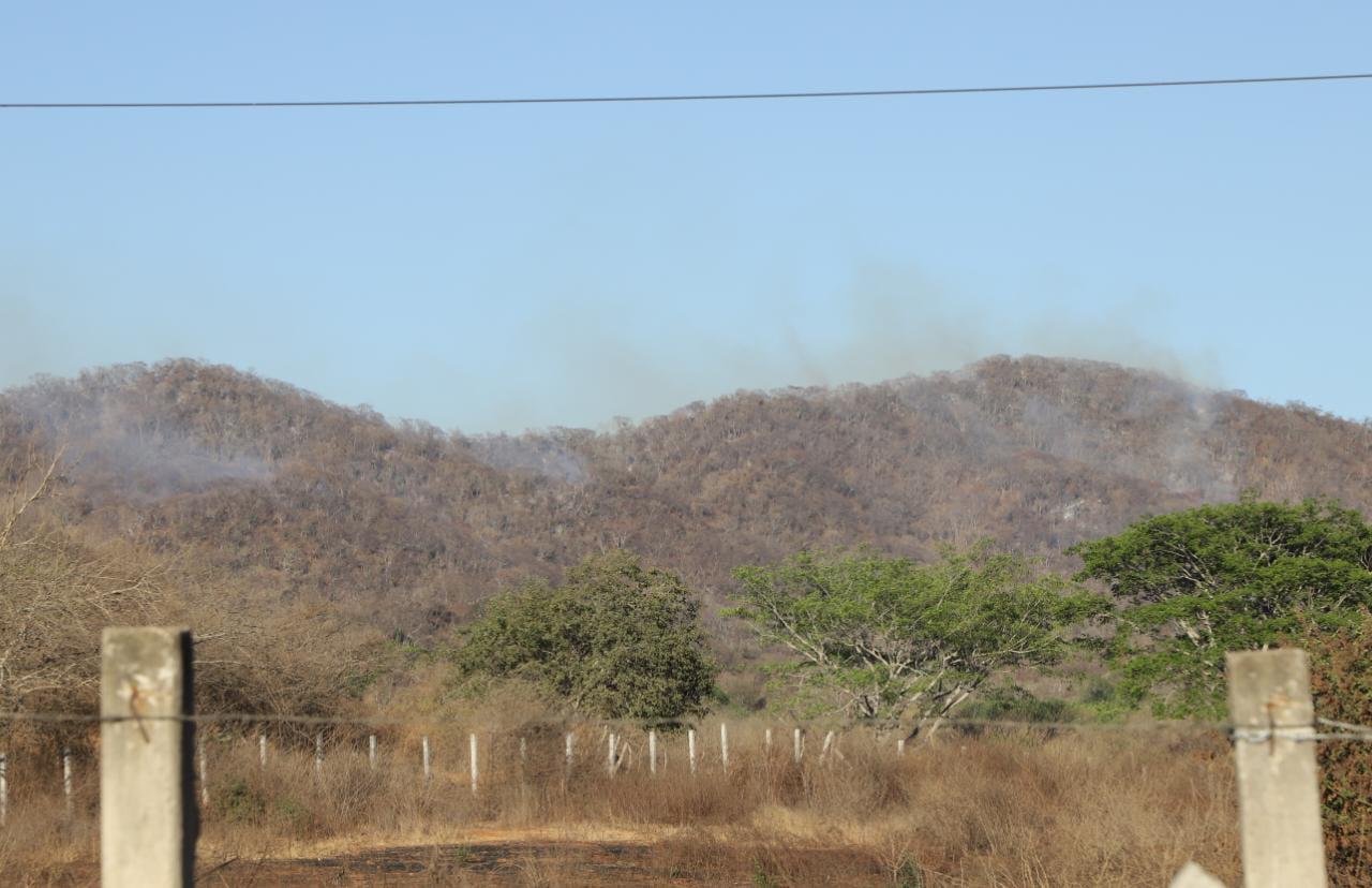 $!Por incendio sin control en El Magistral evacuan a 35 habitantes