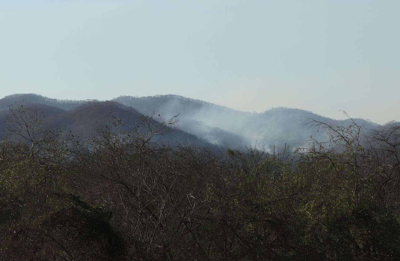 $!Por incendio sin control en El Magistral evacuan a 35 habitantes