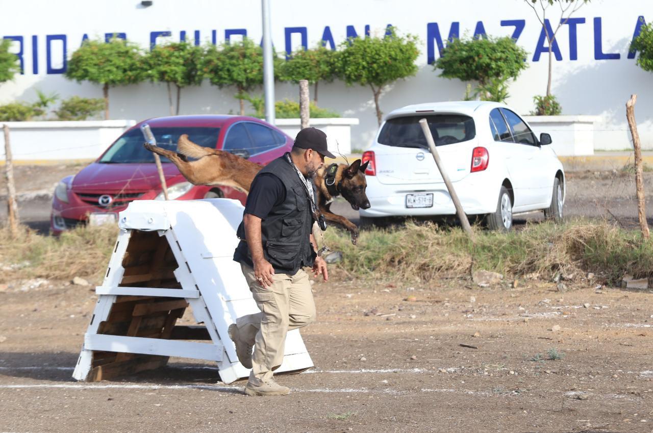 $!Toda una escuela la K9, la Unidad Canina de la SSPM de Mazatlán