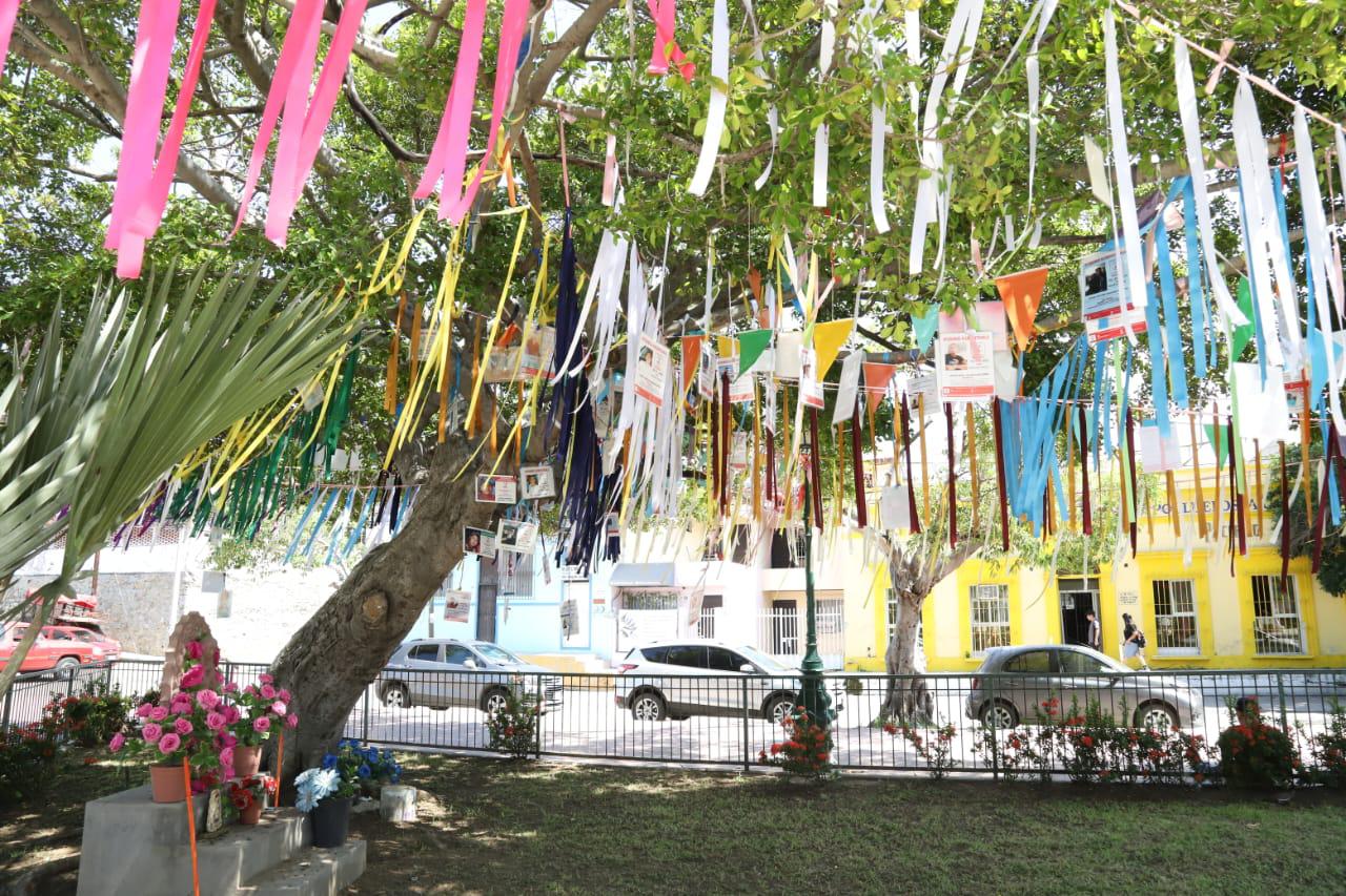 $!Brindan espacios de Mazatlán un lugar de recuerdo y esperanza a familiares de desaparecidos