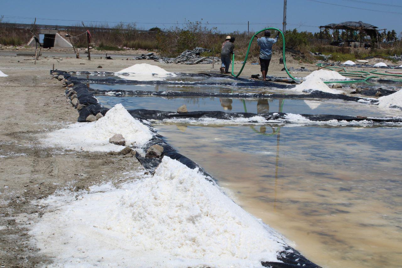 $!Productores de sal en Escuinapa prevén llegar a las 100 toneladas de producción este año