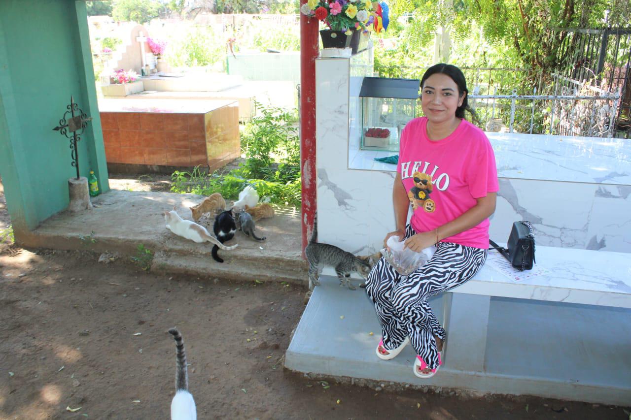 $!En Rosario, Daniela sigue los pasos de su abuelita para cuidar a los gatos