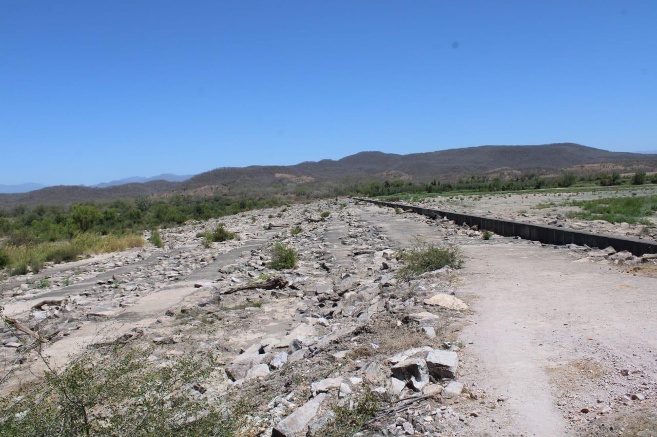 $!Temporada de mango en el sur de Sinaloa se encuentra en riesgo por cierre de la presa Santa María: AARB