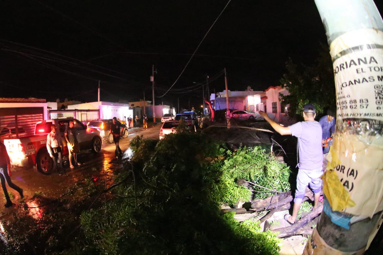 $!Lluvia y viento provocan caída de más de 60 árboles y anuncios, daños en vehículos y apagones