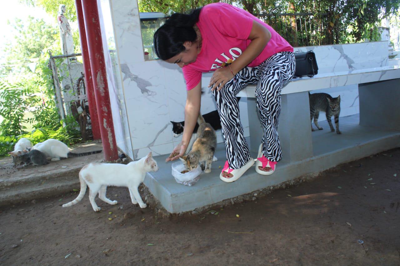 $!En Rosario, Daniela sigue los pasos de su abuelita para cuidar a los gatos