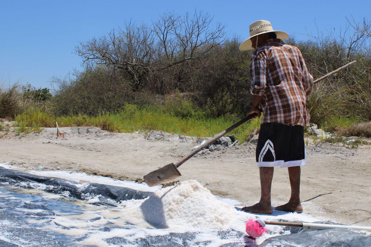 $!Productores de sal en Escuinapa prevén llegar a las 100 toneladas de producción este año