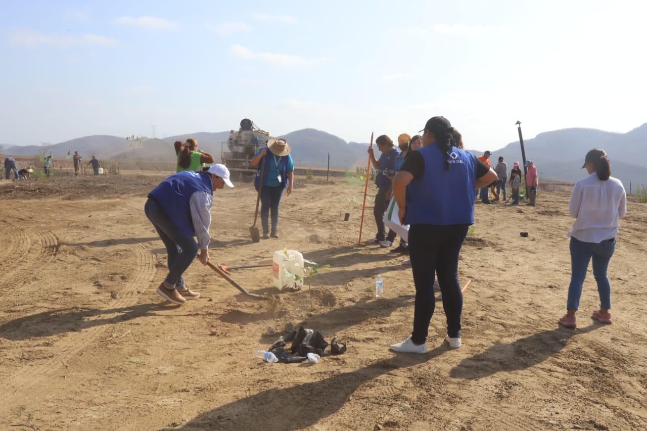 $!Celebran Día Mundial del Medio Ambiente con reforestación en área cerrada del Basurón de Mazatlán