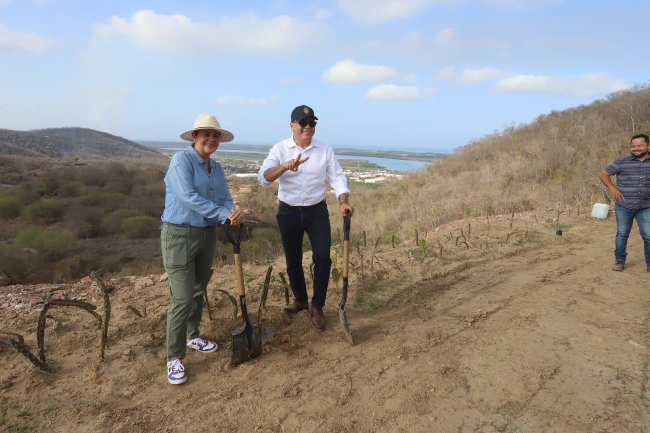 $!Celebran Día Mundial del Medio Ambiente con reforestación en área cerrada del Basurón de Mazatlán