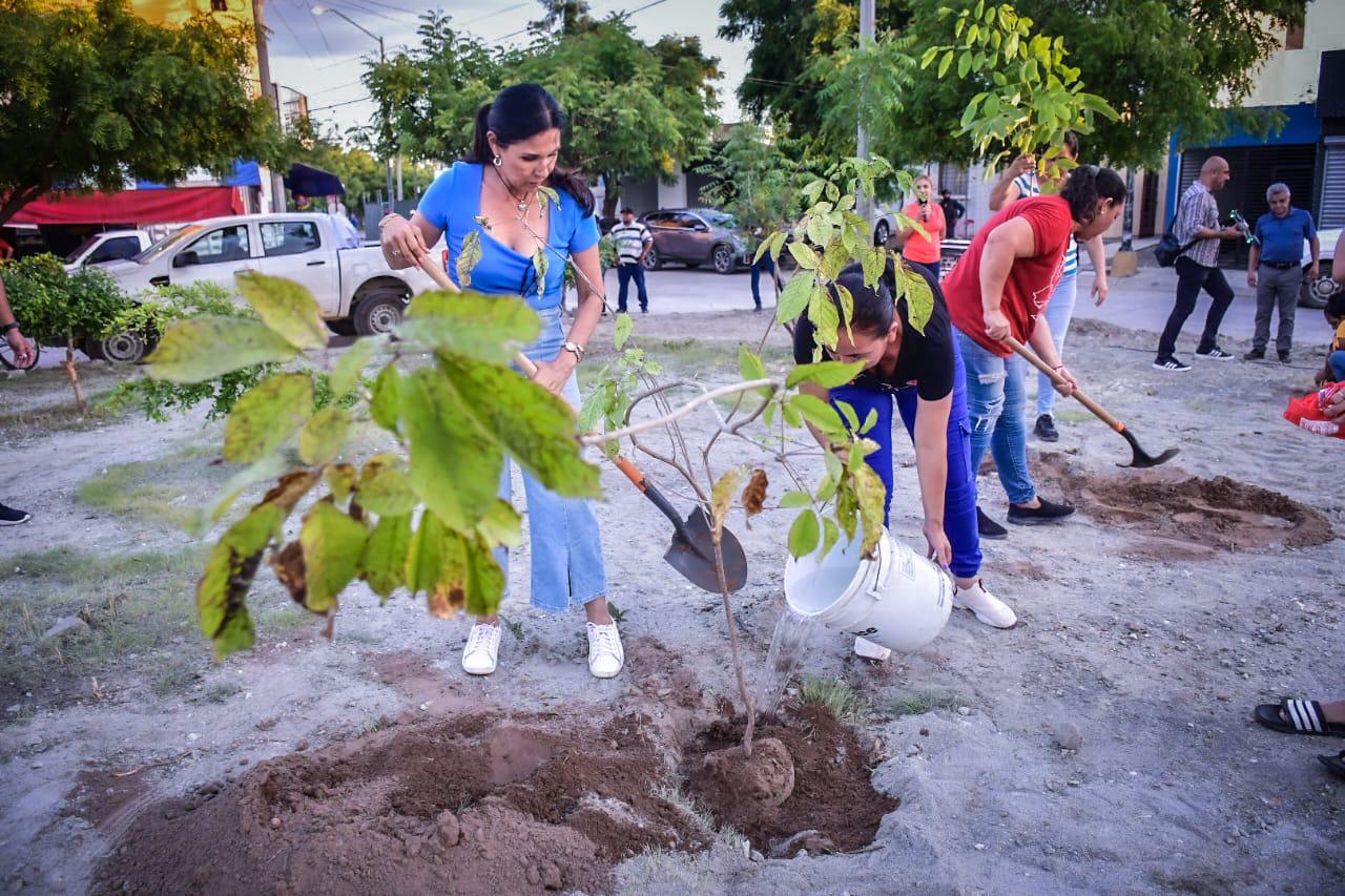 $!Lleva Gobierno de Mazatlán arriba del 60% la meta de arborización