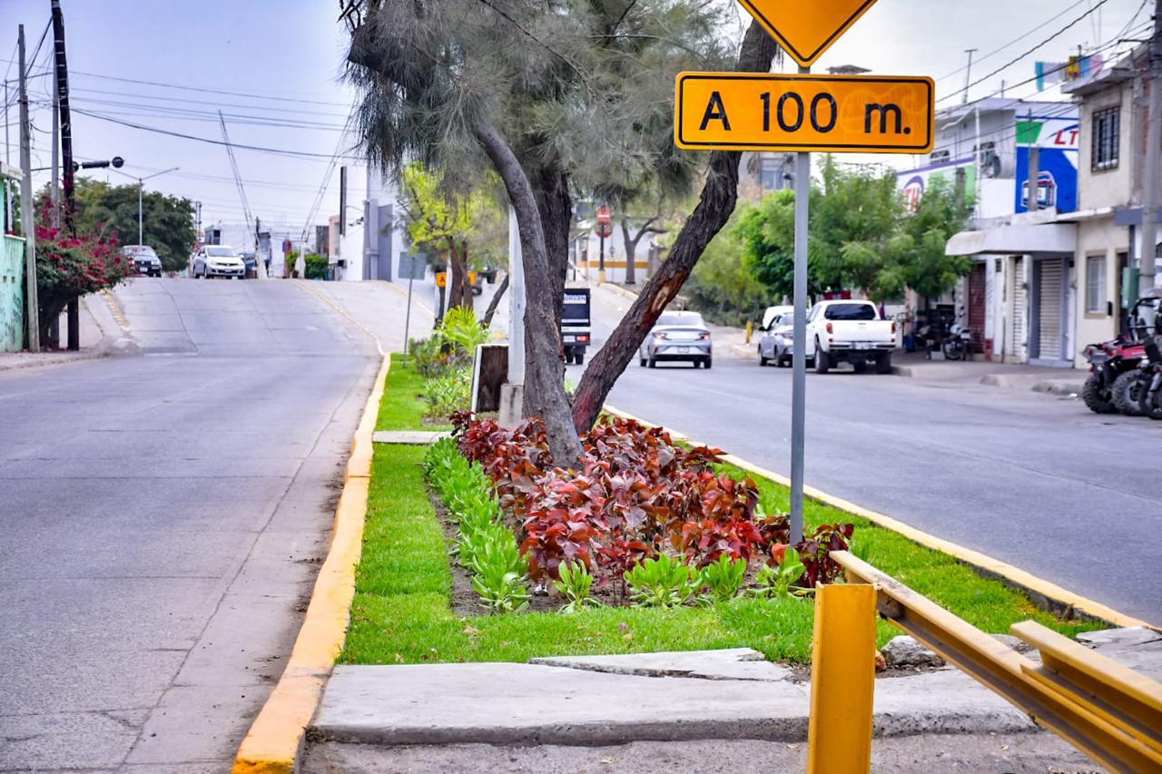 $!Robo de plantas en camellones y jardineras es una práctica recurrente que afecta imagen de Mazatlán: Alcalde