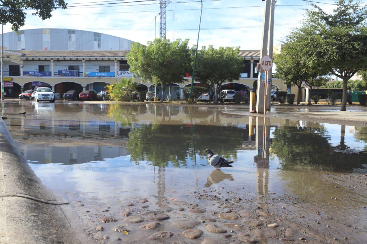 $!Megafuga inunda calles de Villa Florida, en Mazatlán