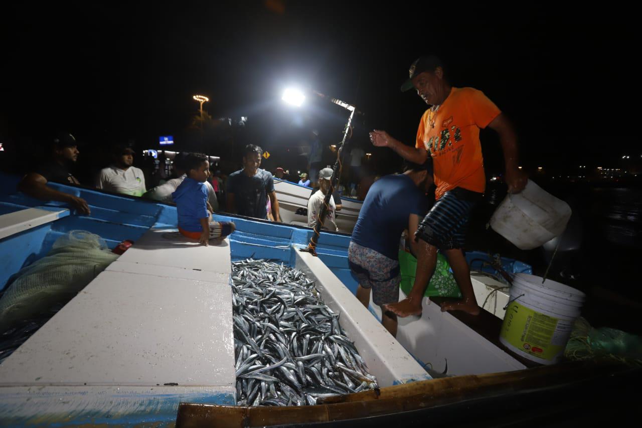 $!Regresa la pesca de pajaritos a Mazatlán