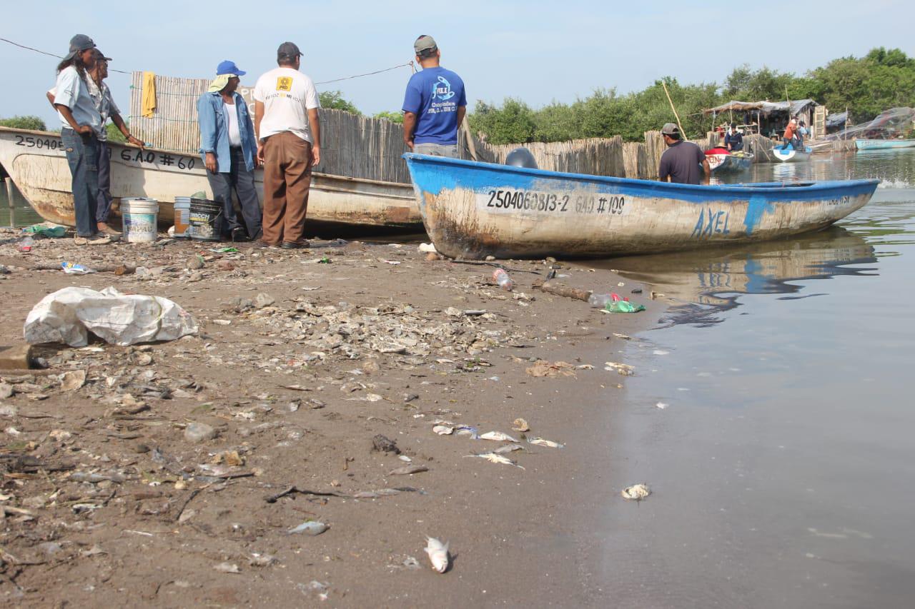 $!‘Se ve crítico el panorama para la pesca en Chametla’: síndico