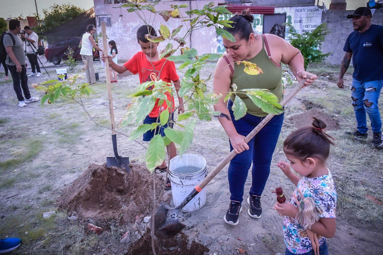 $!Lleva Gobierno de Mazatlán arriba del 60% la meta de arborización