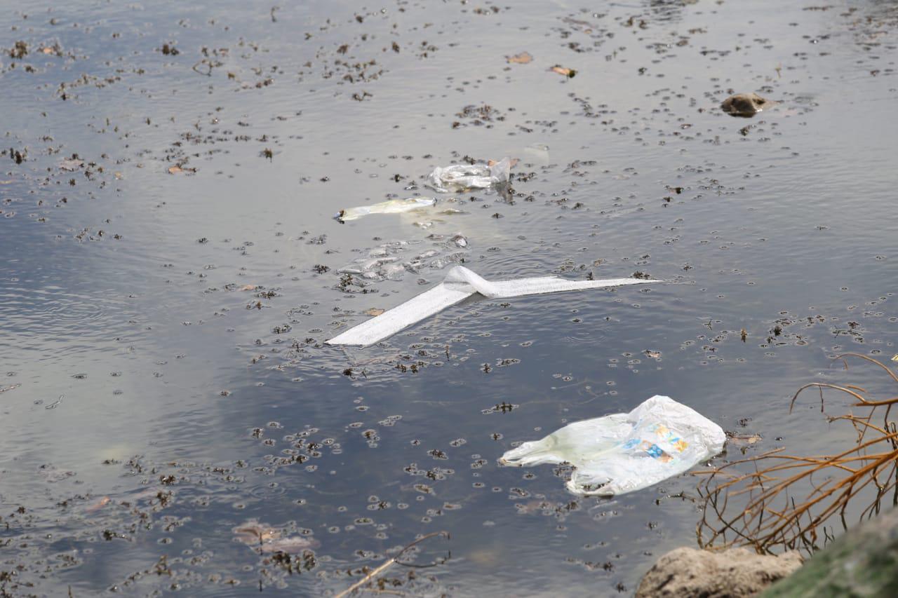 $!La Laguna del Camarón, en Mazatlán, está convertida en depósito de plásticos, vidrios y un sinfín de contaminantes