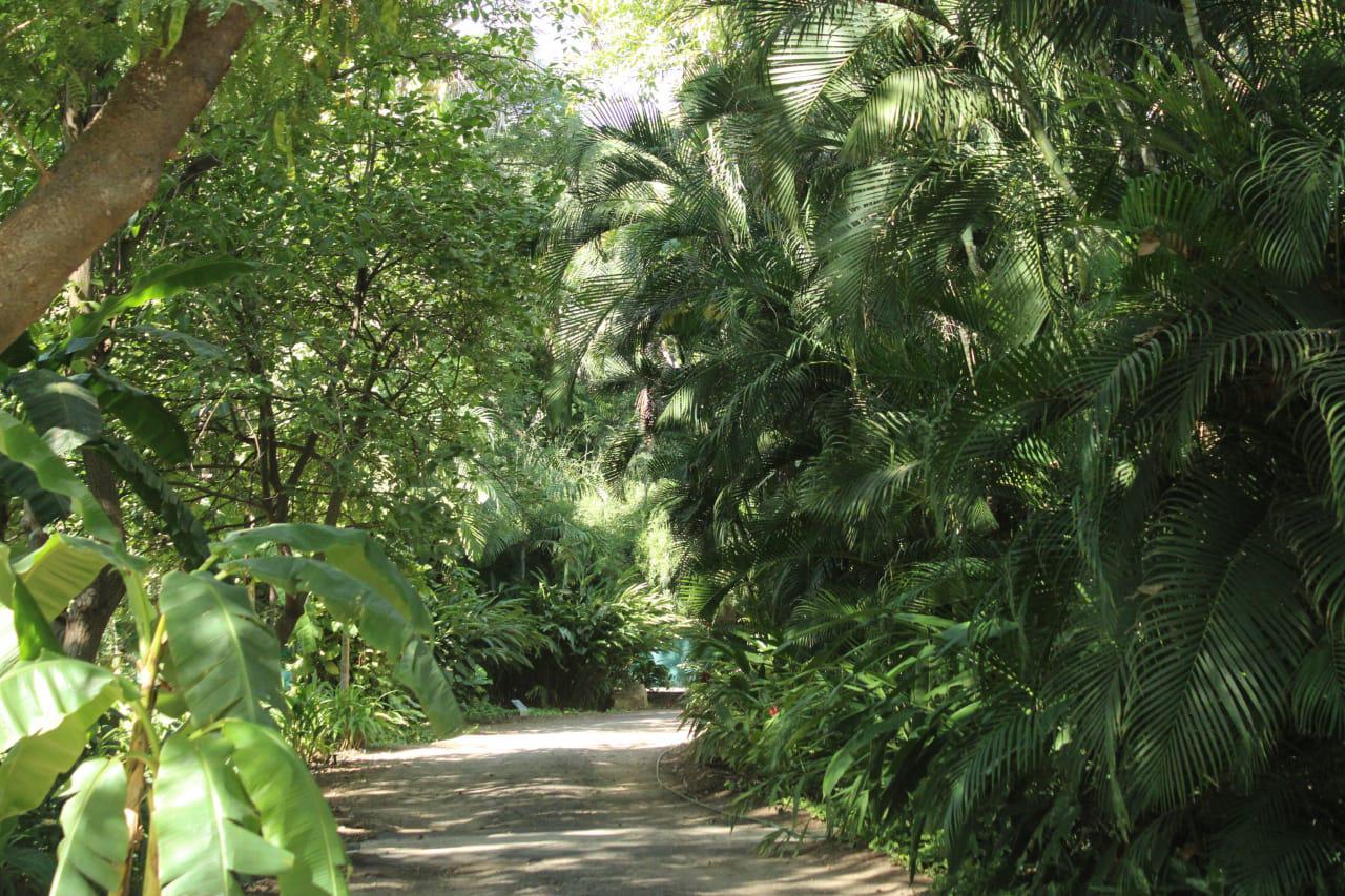 $!Con iniciativa Jardín Vecino, invitan a cuidar y proteger parques para evitar su deterioro