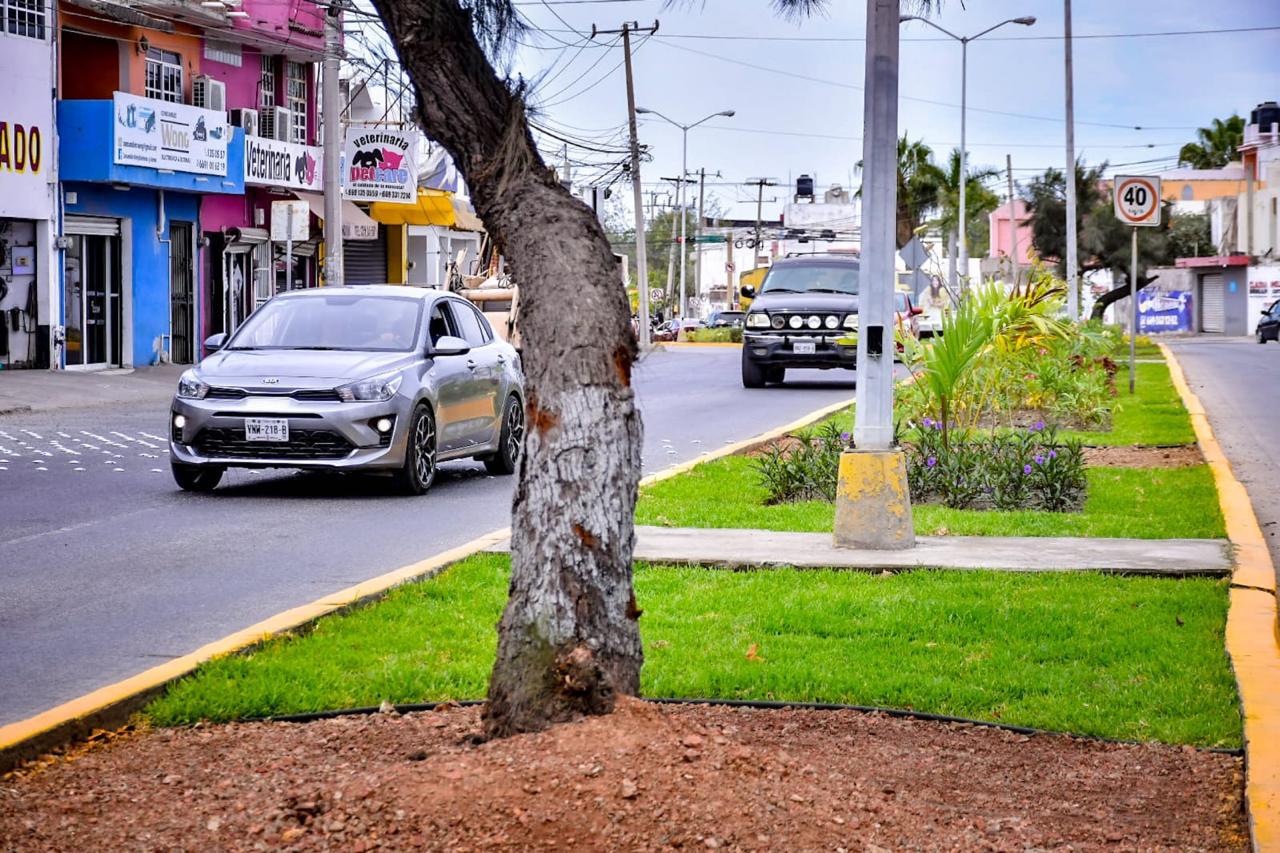 $!Robo de plantas en camellones y jardineras es una práctica recurrente que afecta imagen de Mazatlán: Alcalde