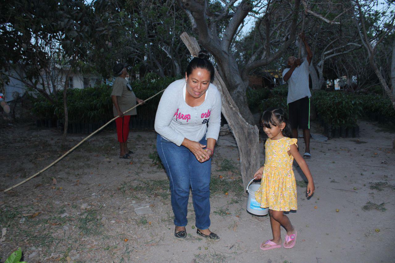 $!Conecta familia con don Mucio al trabajar en huerto de ciruelas