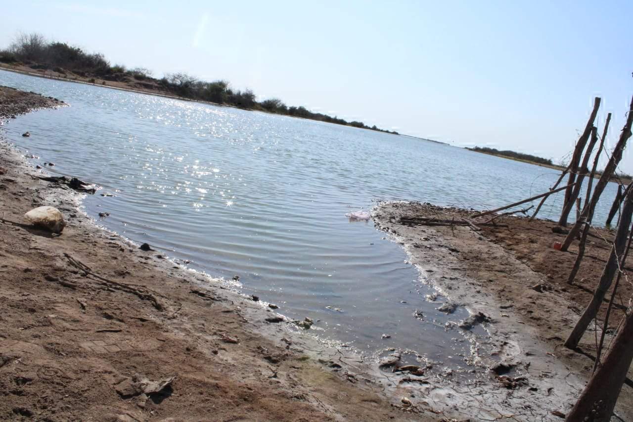 $!Prevén pescadores temporada crítica de camarón en la zona del Caimanero