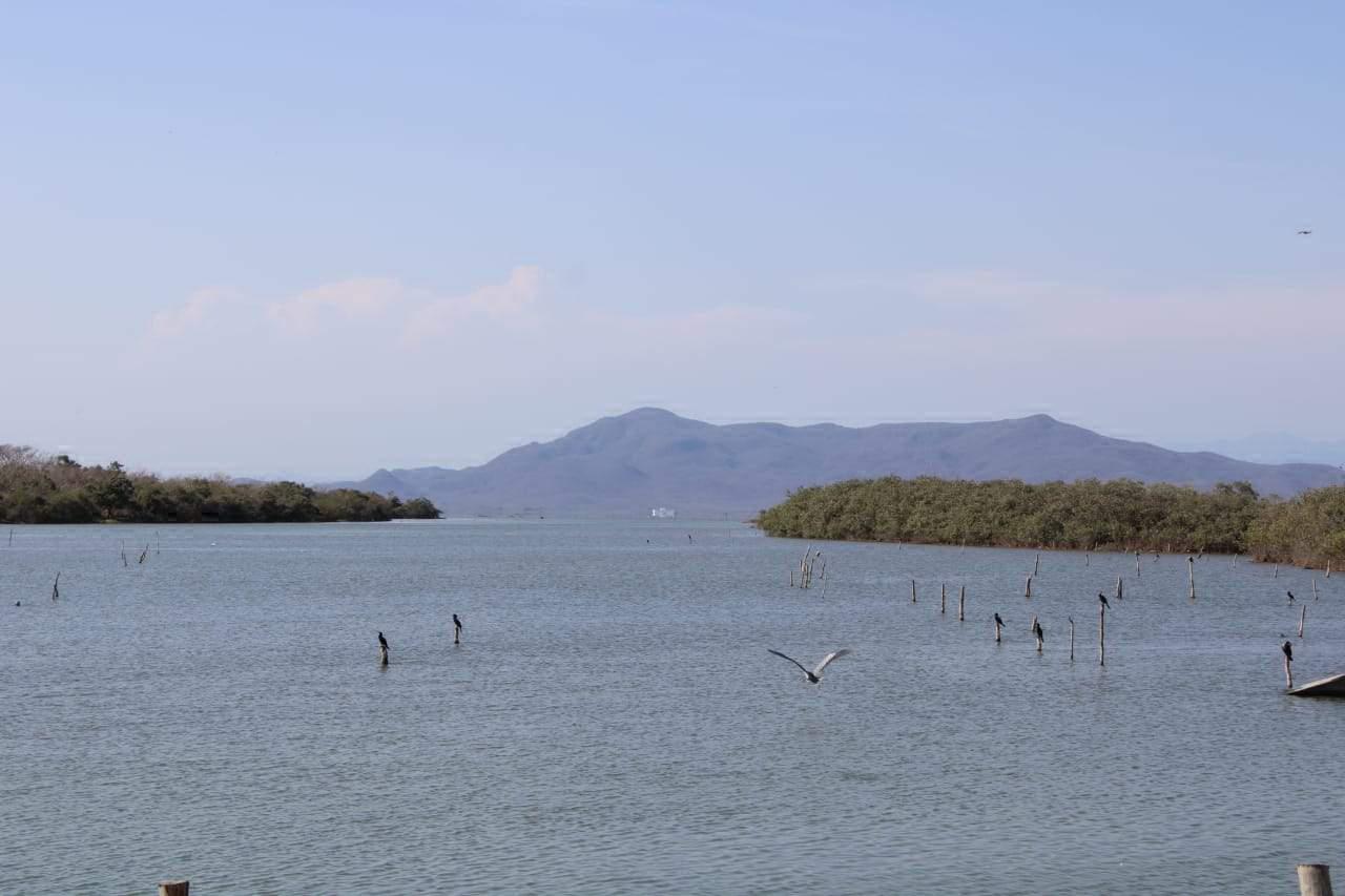 $!Prevén pescadores temporada crítica de camarón en la zona del Caimanero