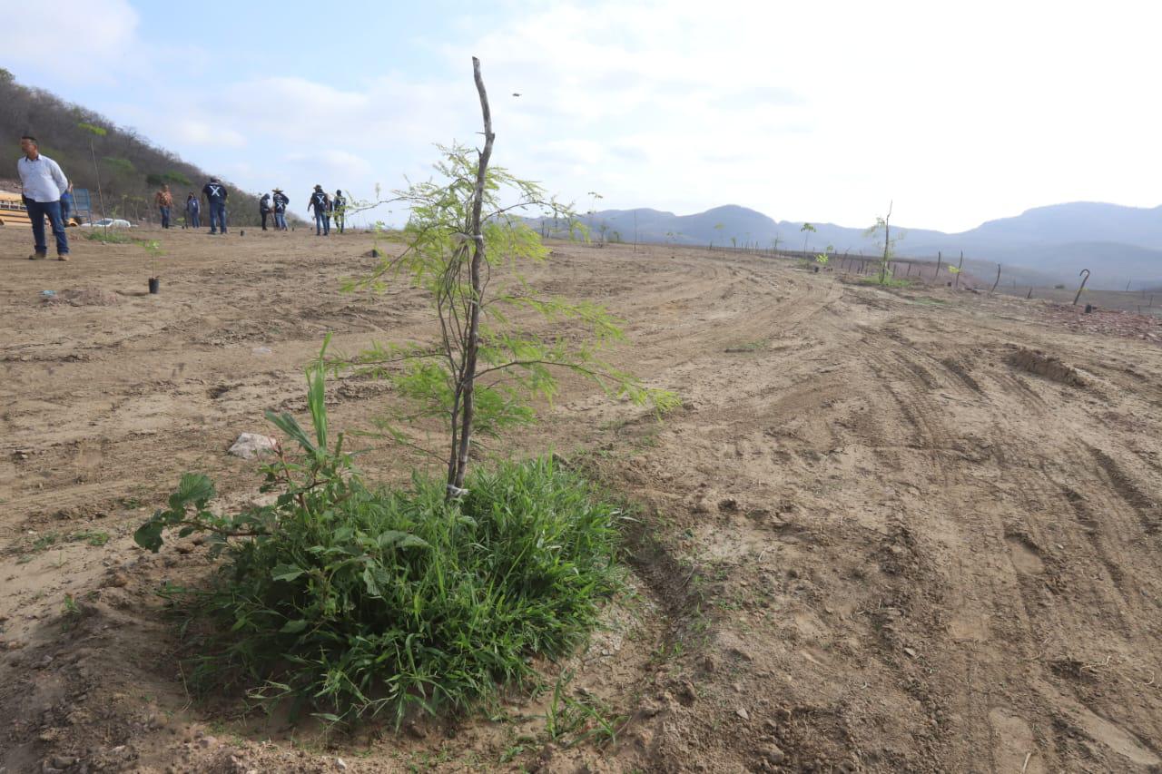 $!Celebran Día Mundial del Medio Ambiente con reforestación en área cerrada del Basurón de Mazatlán