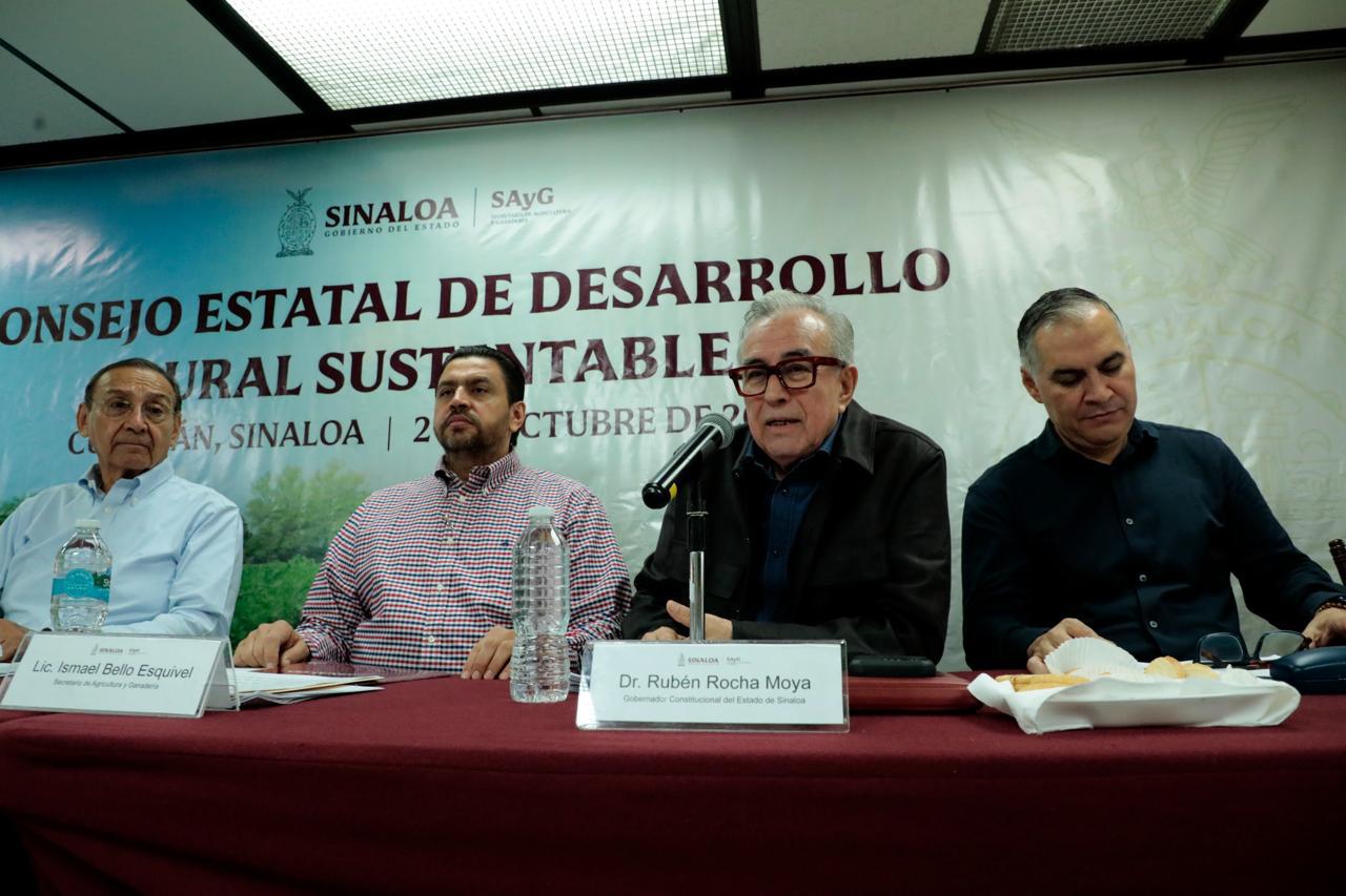 $!Definen plan tentativo de siembras para el ciclo otoño-invierno en Sinaloa