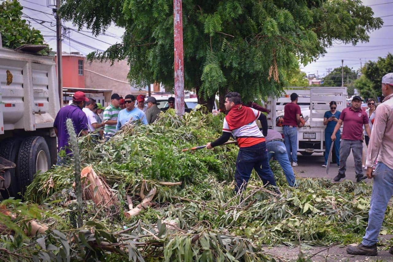 $!Se restableció la energía eléctrica en las colonias de Mazatlán: Alcalde