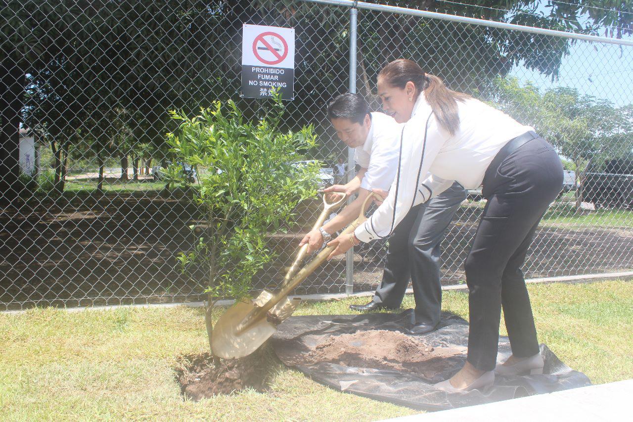 $!Llega a Escuinapa ATR-Sumitomo, una empresa japonesa de arneses