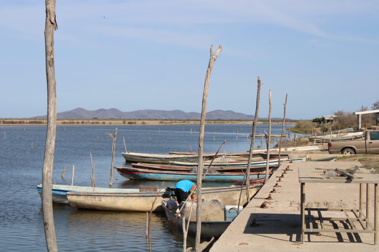 $!Sistemas lagunares podrían ‘morir’ sin aporte de agua de presas: líderes pesqueros