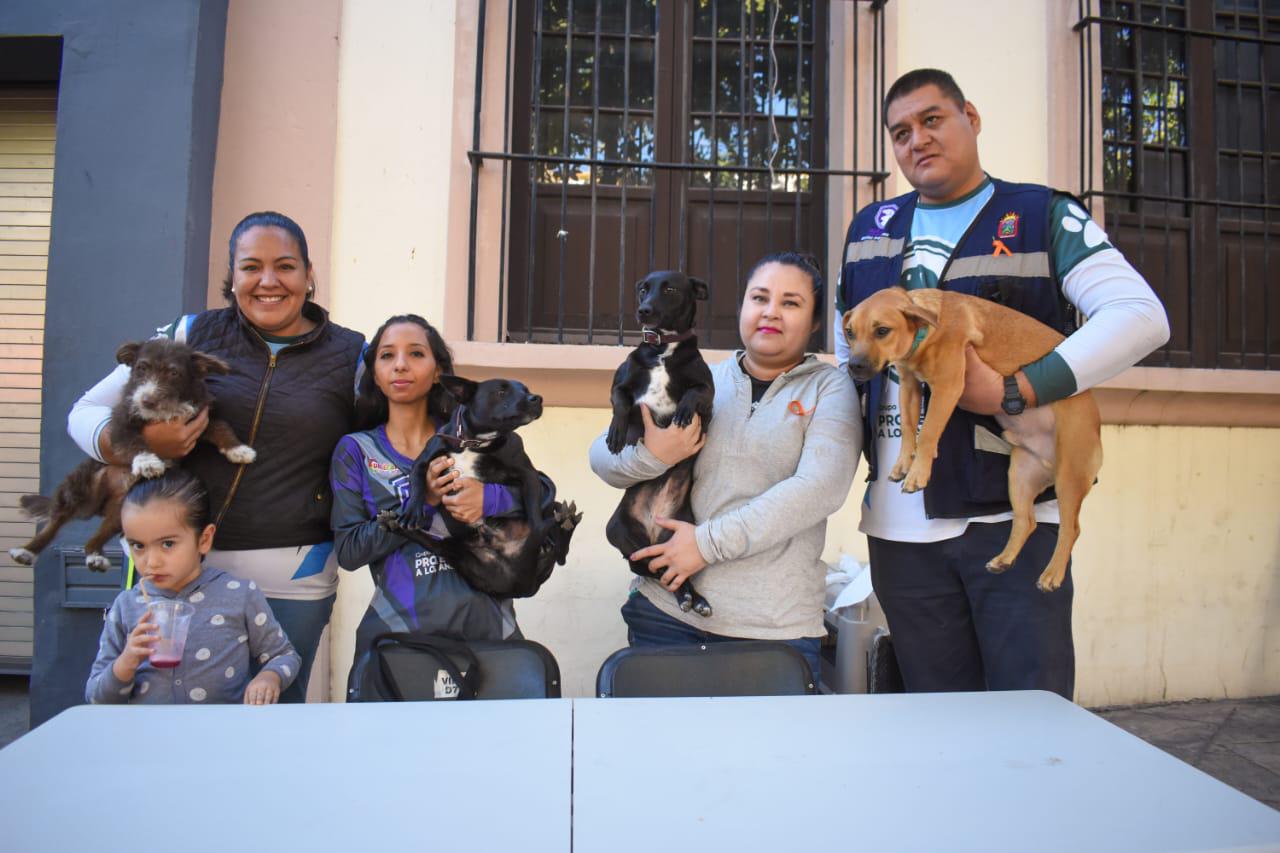 $!Arranca festival navideño ‘Culichilandia’ en el Paseo del Ángel