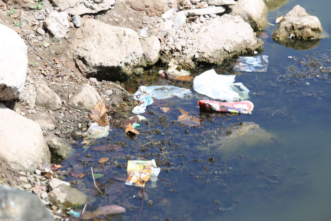 $!La Laguna del Camarón, en Mazatlán, está convertida en depósito de plásticos, vidrios y un sinfín de contaminantes
