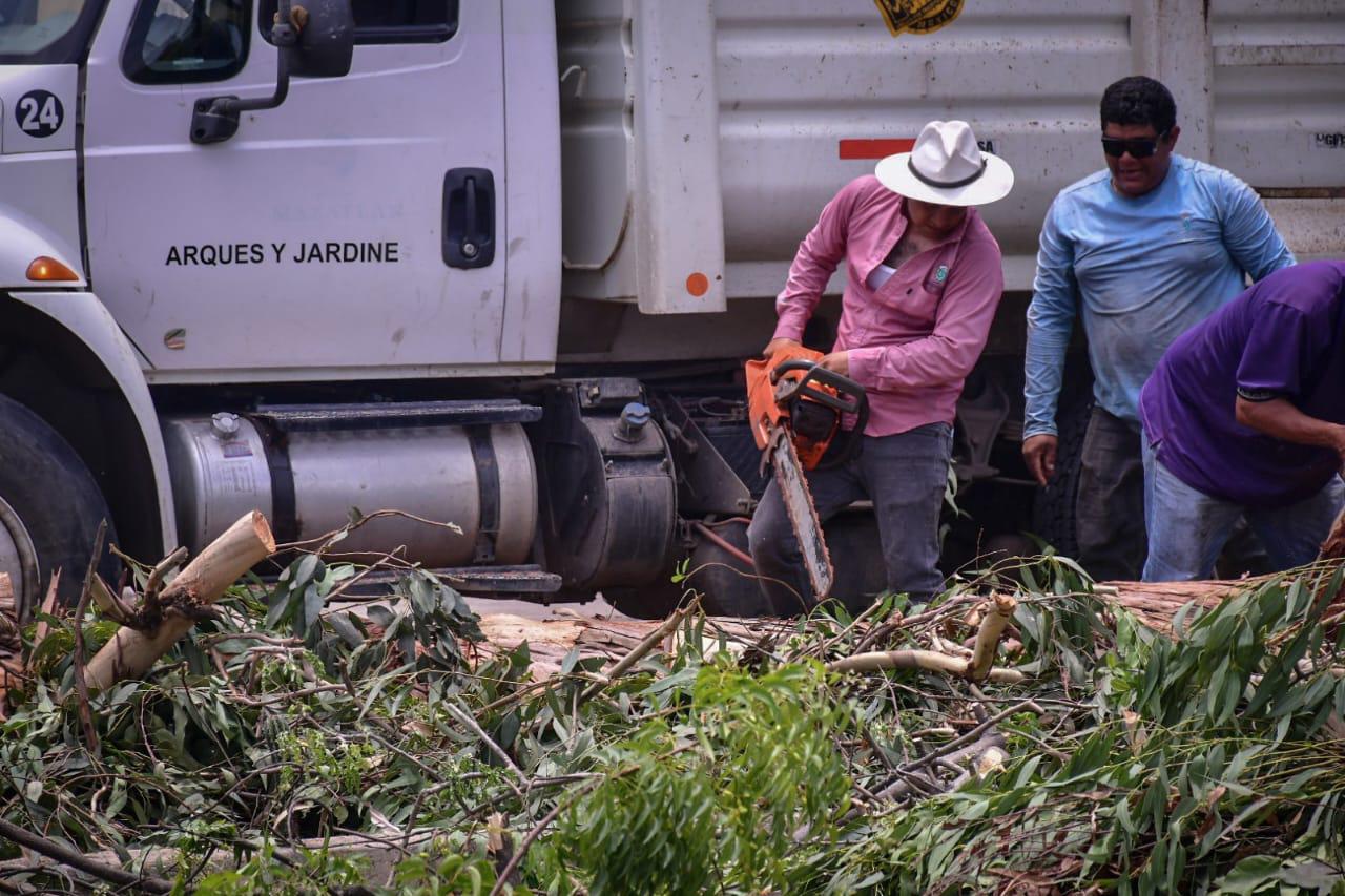 $!Se restableció la energía eléctrica en las colonias de Mazatlán: Alcalde