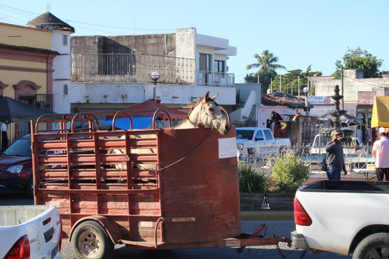 $!Cabalgata Guadalupana empieza a recobrar fuerza en Rosario