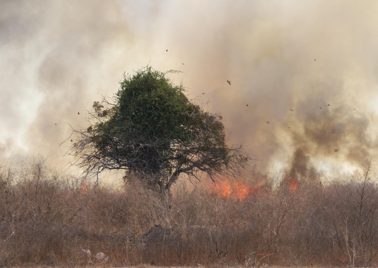 $!Incendio en terreno baldío nubla la visibilidad en la Avenida del Delfín