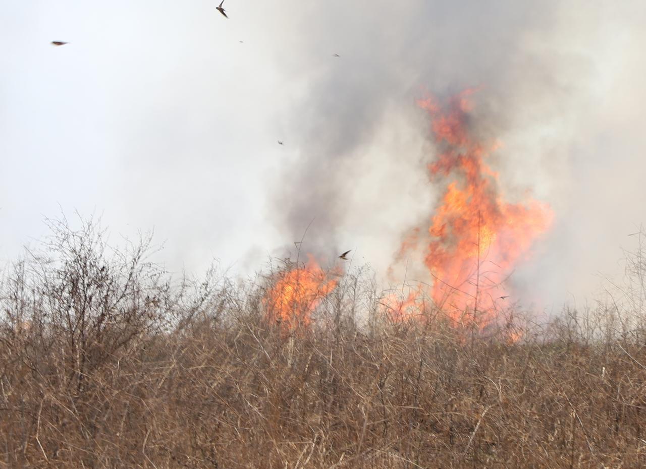 $!Incendio en terreno baldío nubla la visibilidad en la Avenida del Delfín